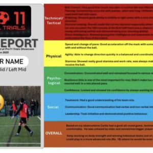 Scout Report Example